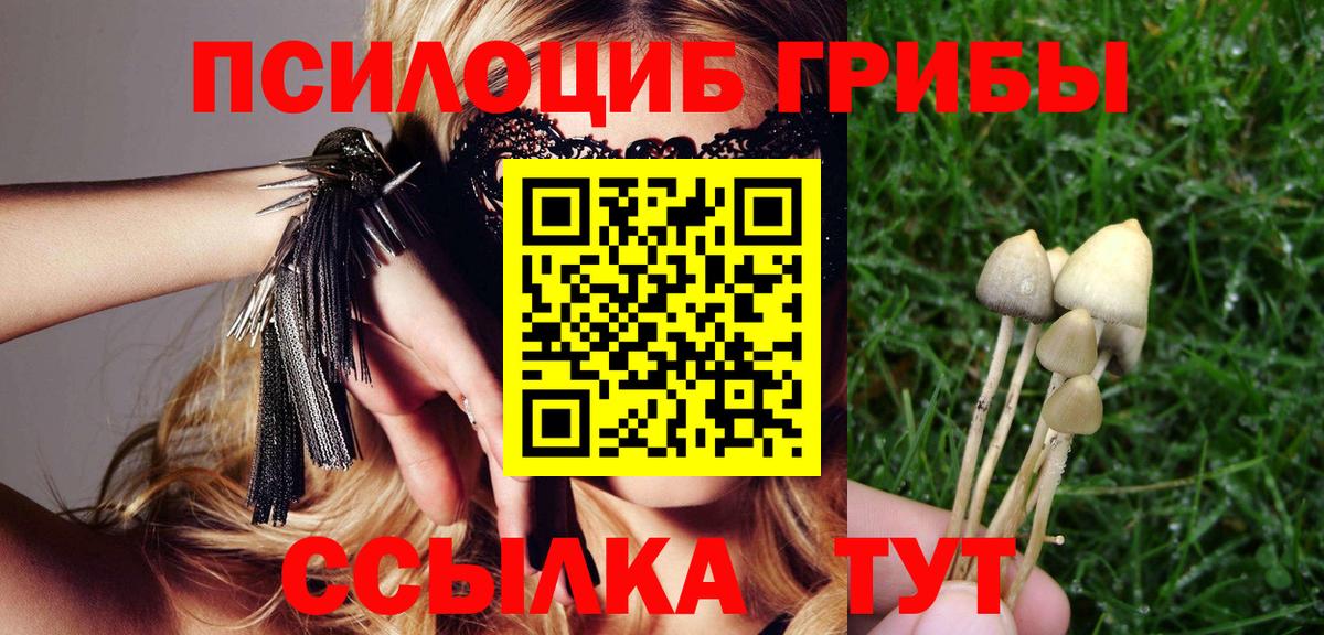 Псилоцибиновые грибы мицелий Обнинск